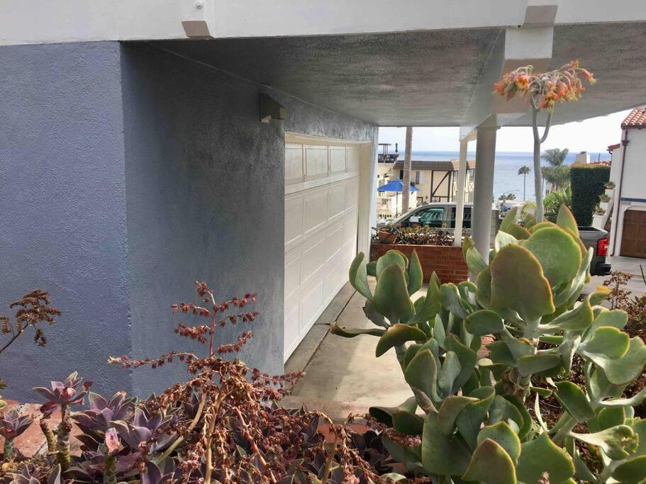 Blue Whale Inn San Clemente Jewel Unit D Εξωτερικό φωτογραφία